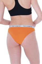 Kadın 3lü Slip Külot - Görsel 5